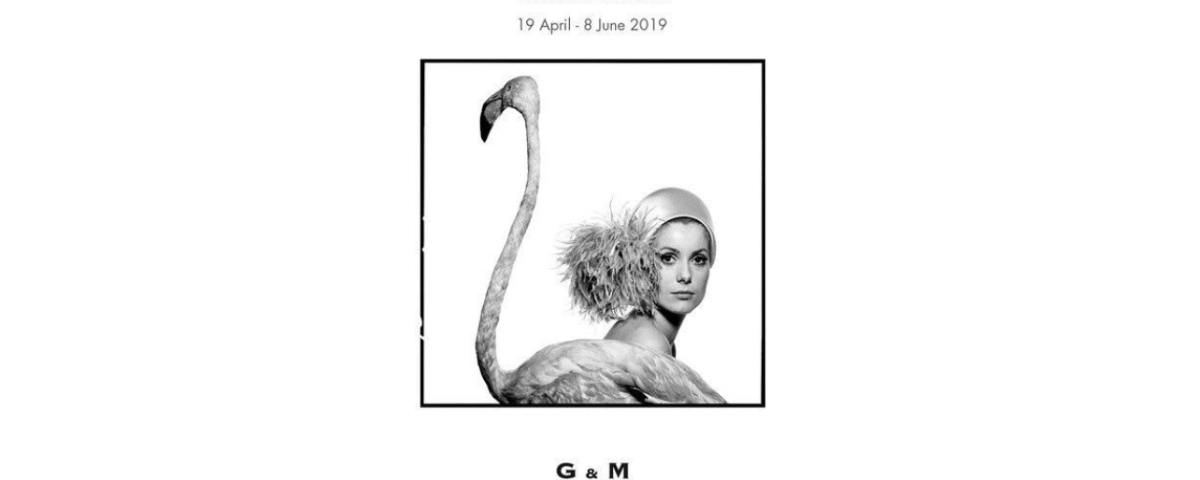 David Bailey Exhibition