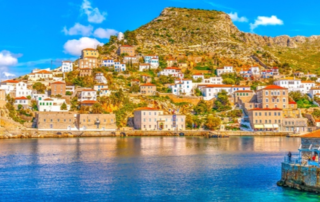 Hydra